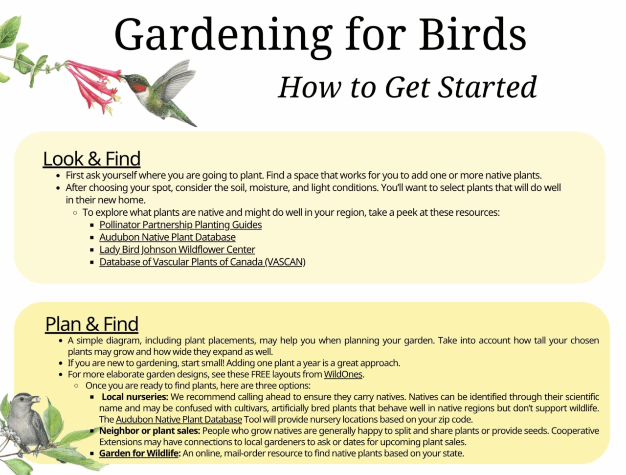 Poster you can download of how to get started when thinking about Gardening for Birds.