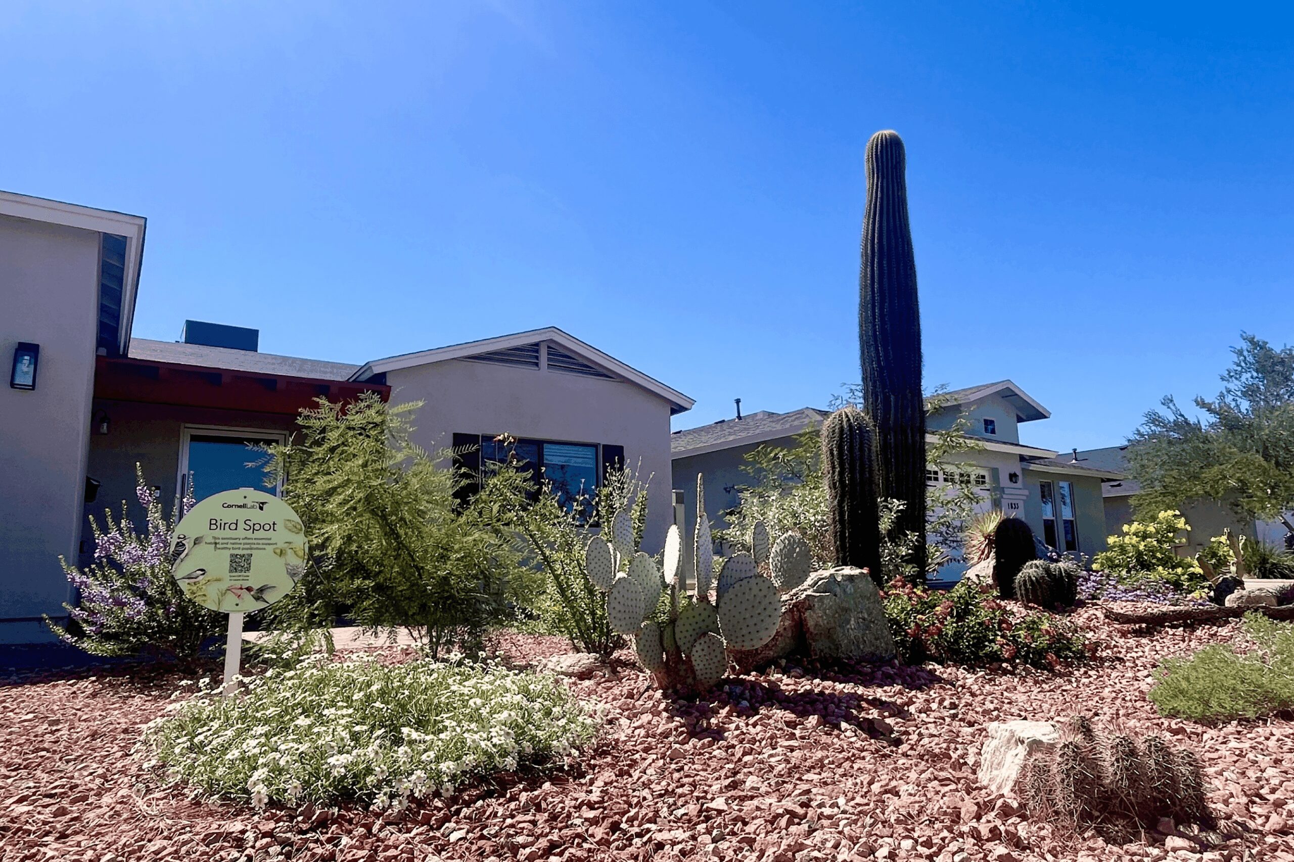 House in desert with the rock lawn replaced with several cactus, shrubs and a sign that explains why the plants were chosen.