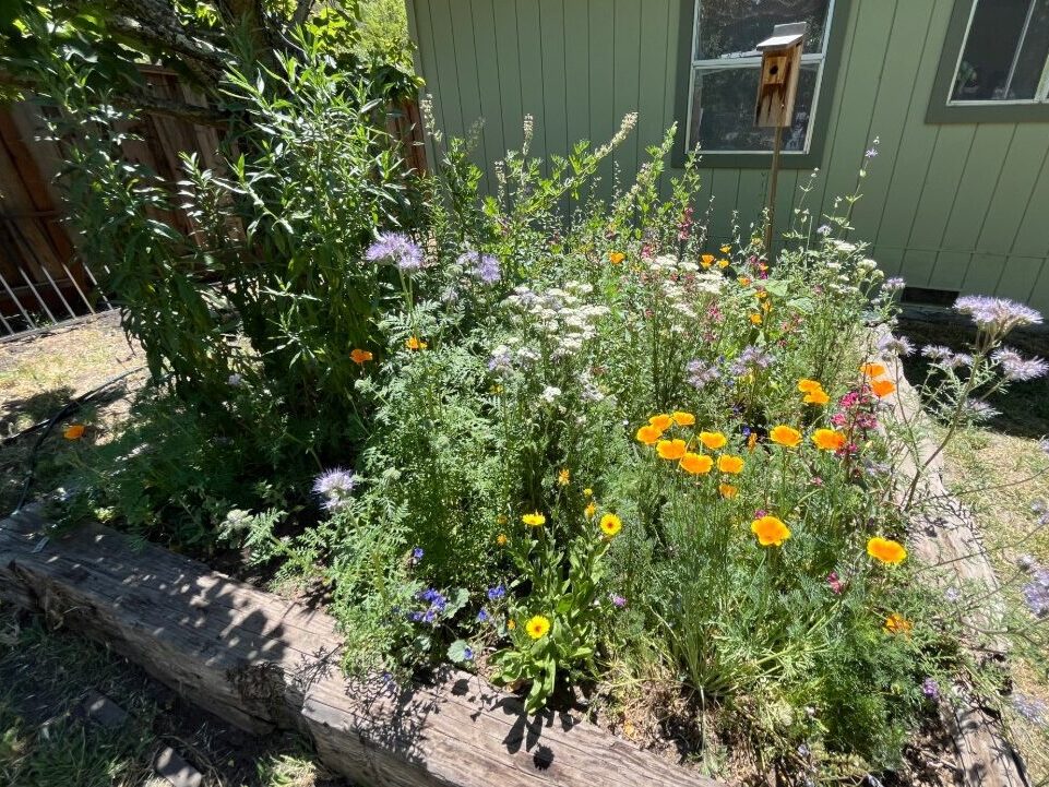Square garden with yellow, lavender, white and pink flowers.