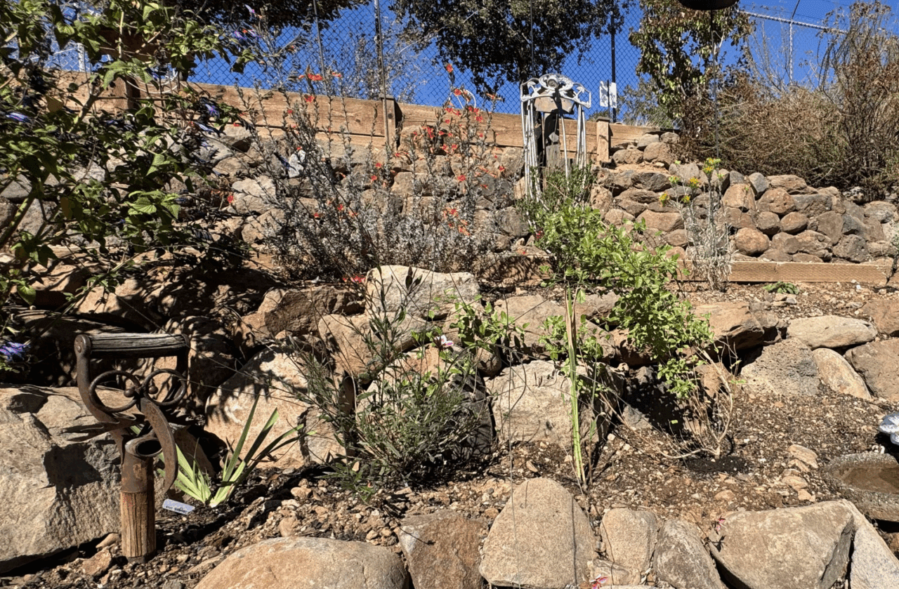 Rocky garden with sculptures and desert plants.