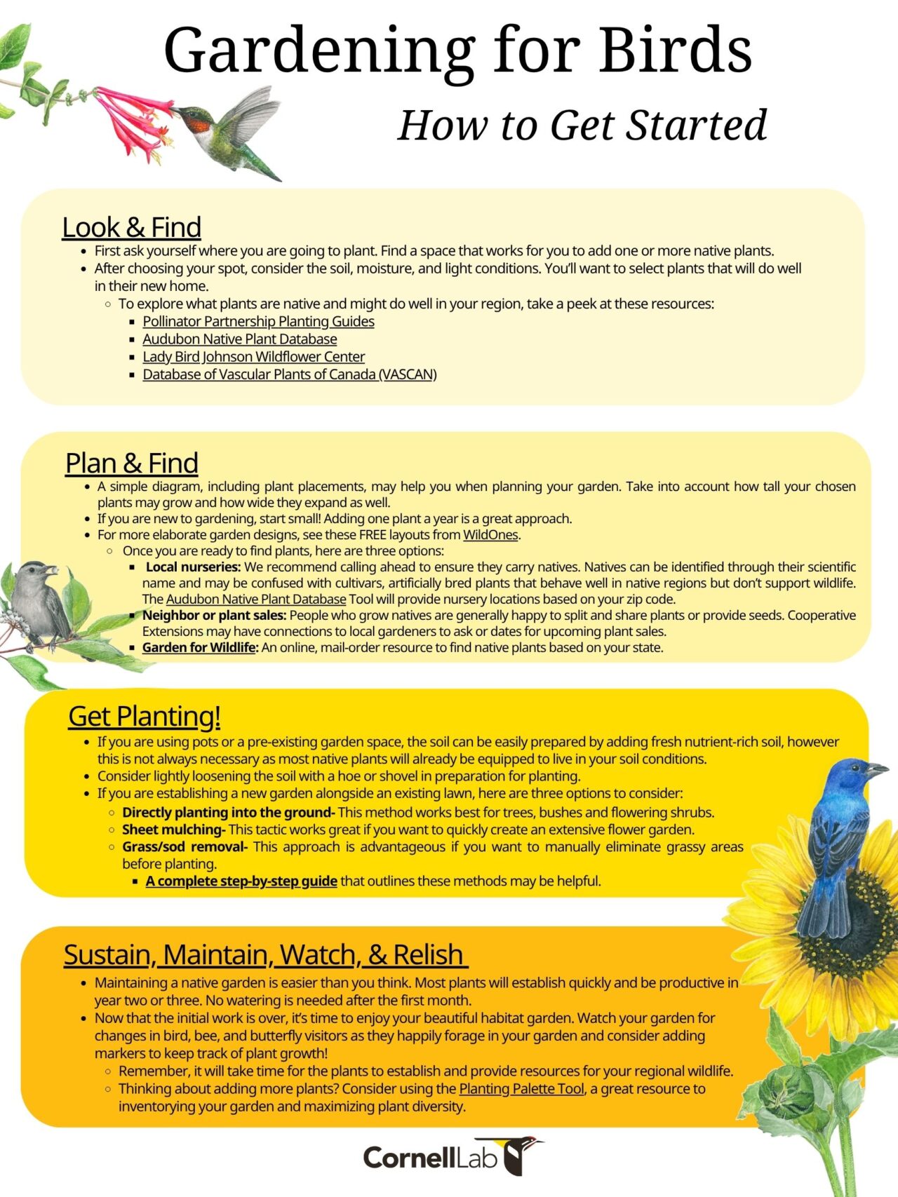 Poster you can download of how to get started when thinking about Gardening for Birds.