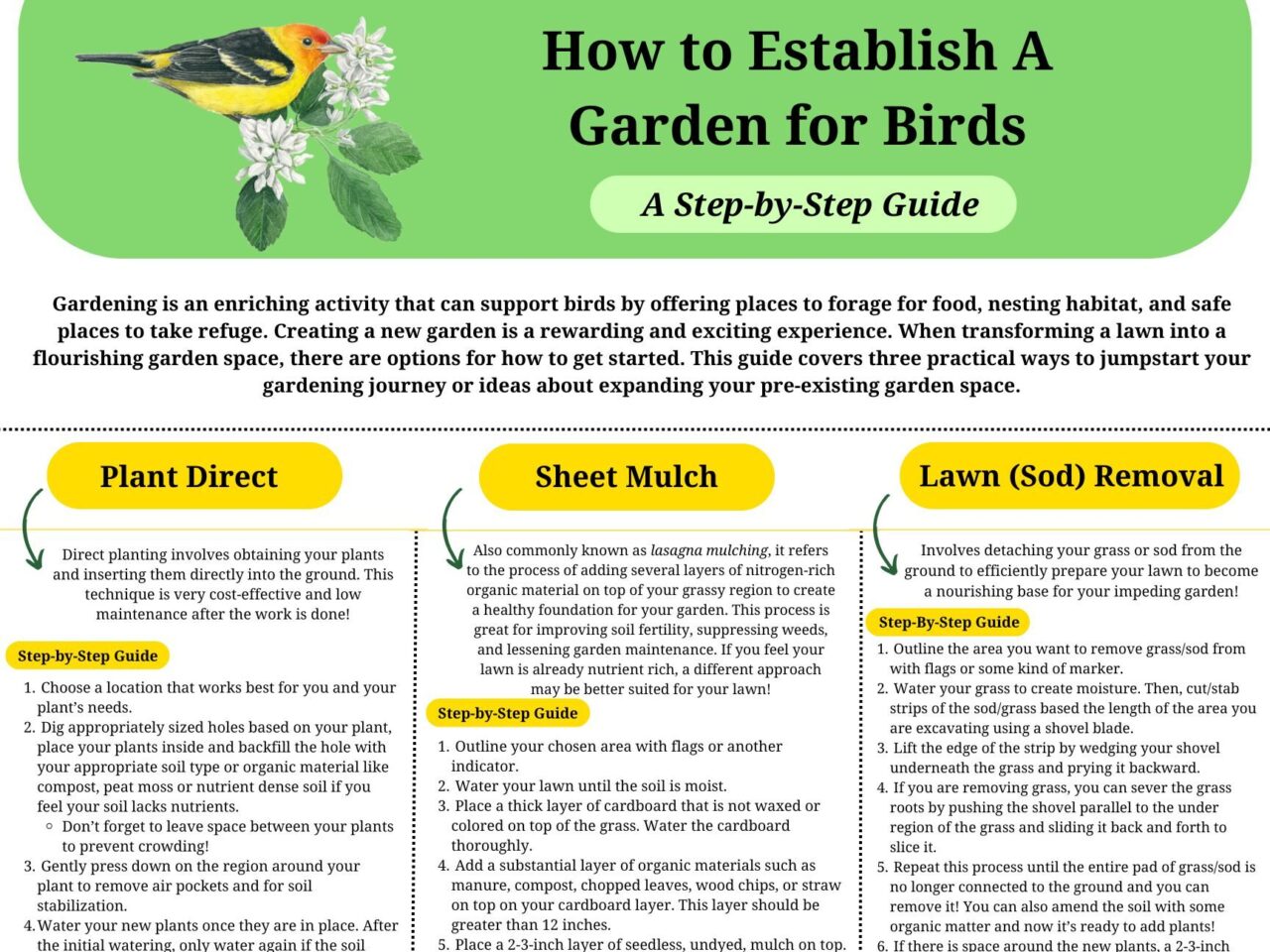 A picture of a step by step guide for different options of how to start a garden.