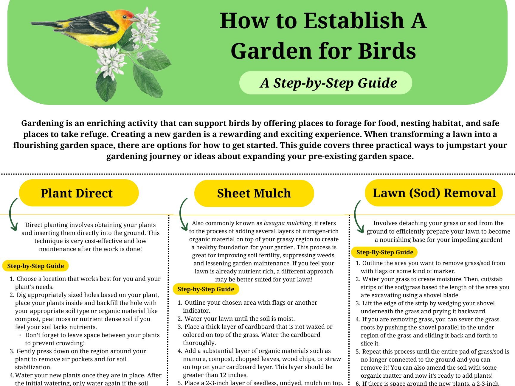 A picture of the downloaded guide for how to start a garden.