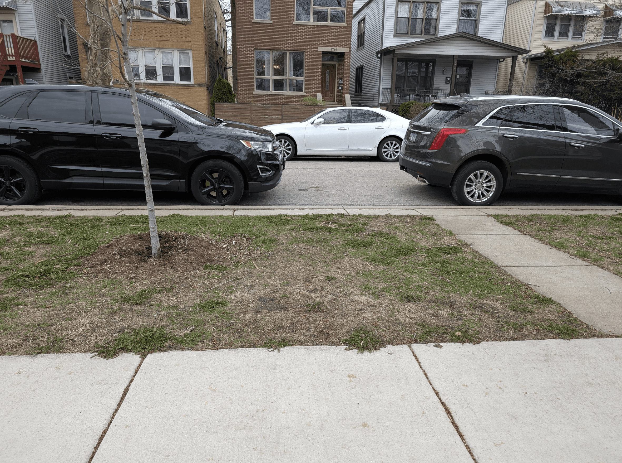A strip in front of a city house that is all dead grass with a small tree and cars parked in the background.