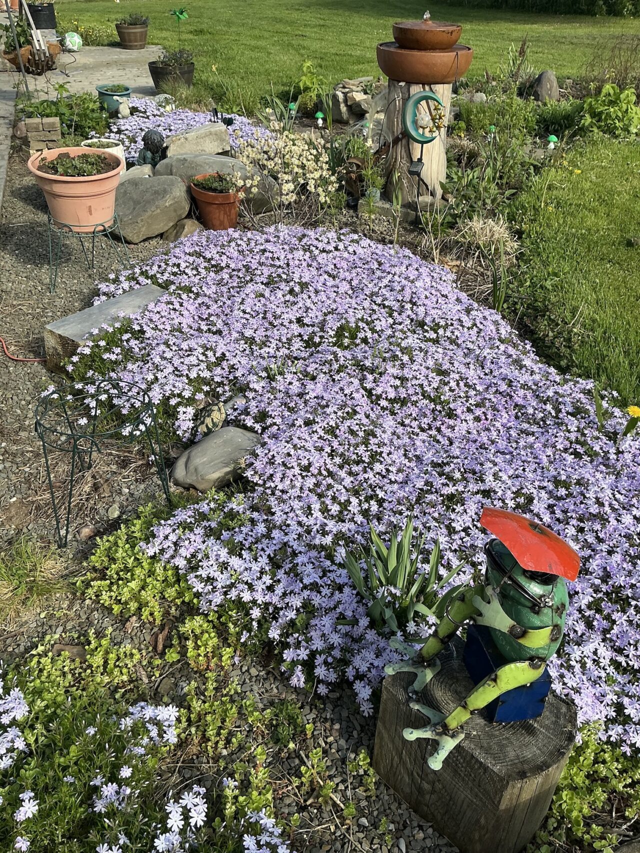 Gravel garden.