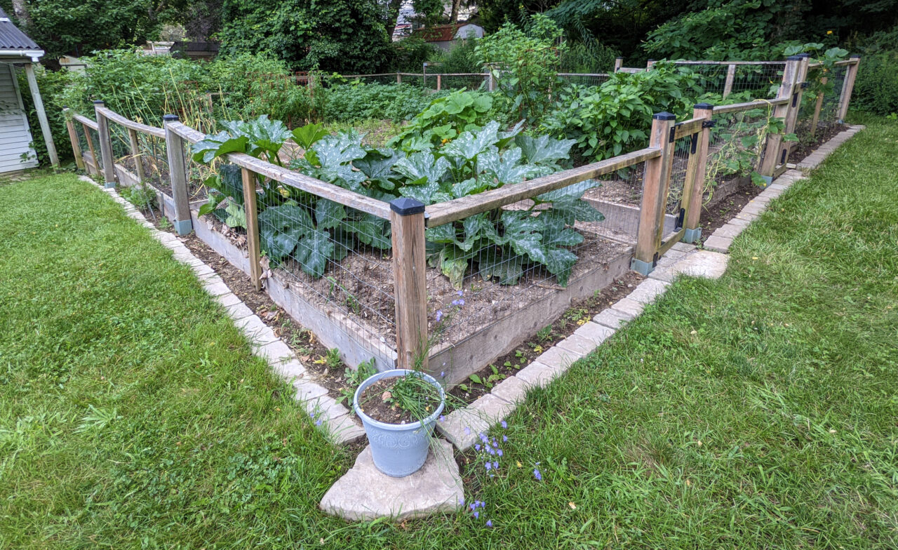 A vegetable garden with a narrow border of native plants