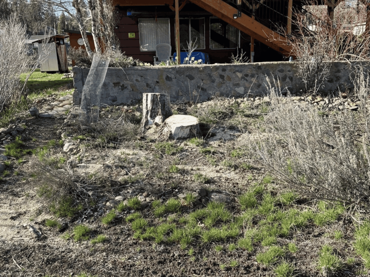 Dry patch with a stump and some grassy spots where new flowers will be added.