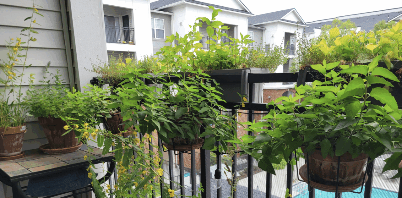 plant pots on a balcony
