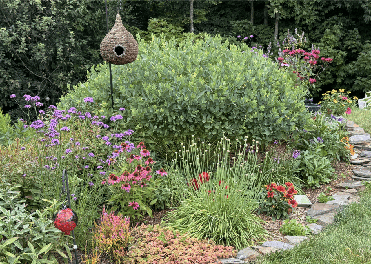 Vibrant garden with a bird house and a variety of purple, red, pink and white flower.
