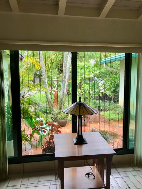 window with Acopian BirdSavers.