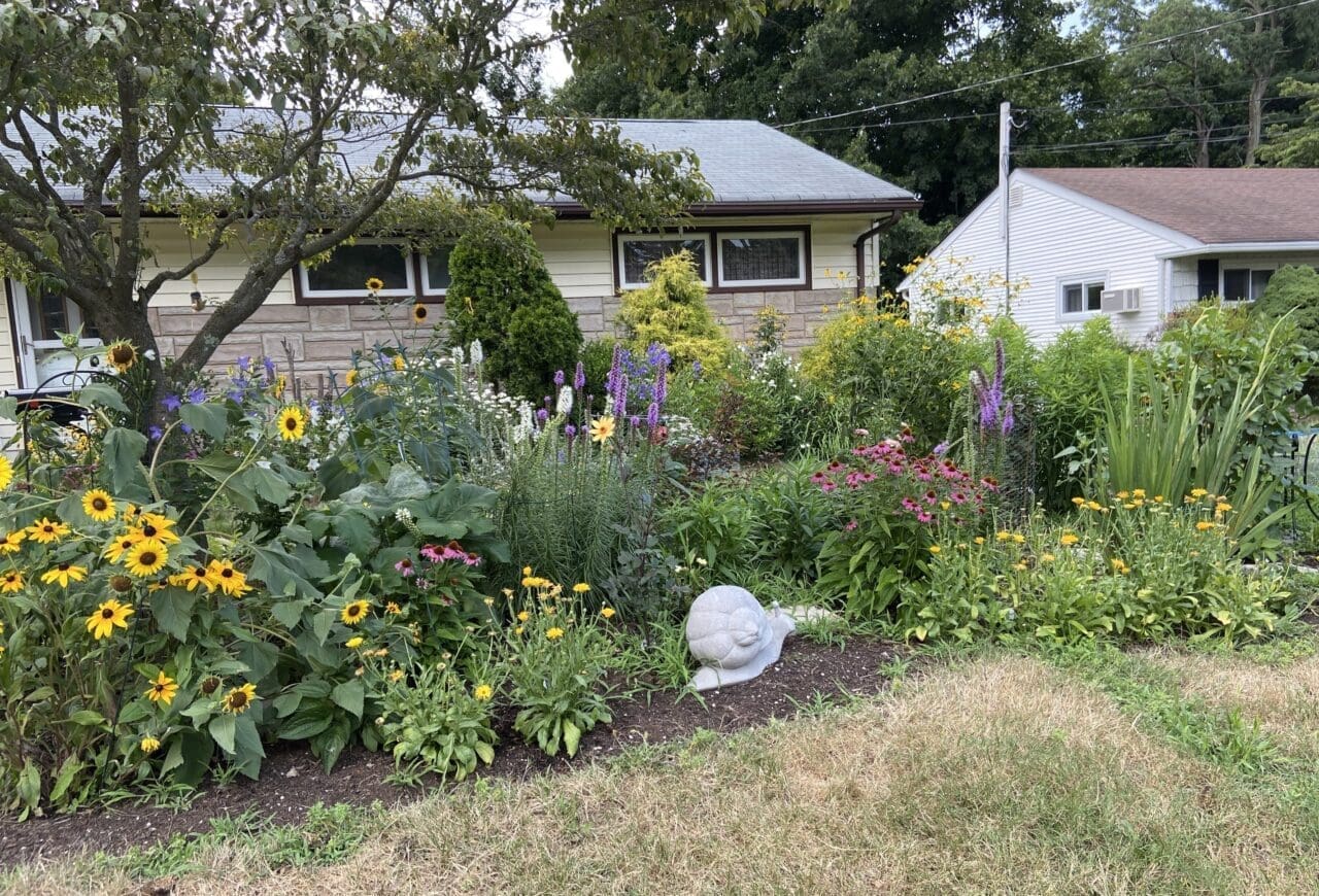 A diverse garden with purple, yellow, pink, and white flowers. A cement snail sculpture is in the middle framing this nice front of the yard home garden.