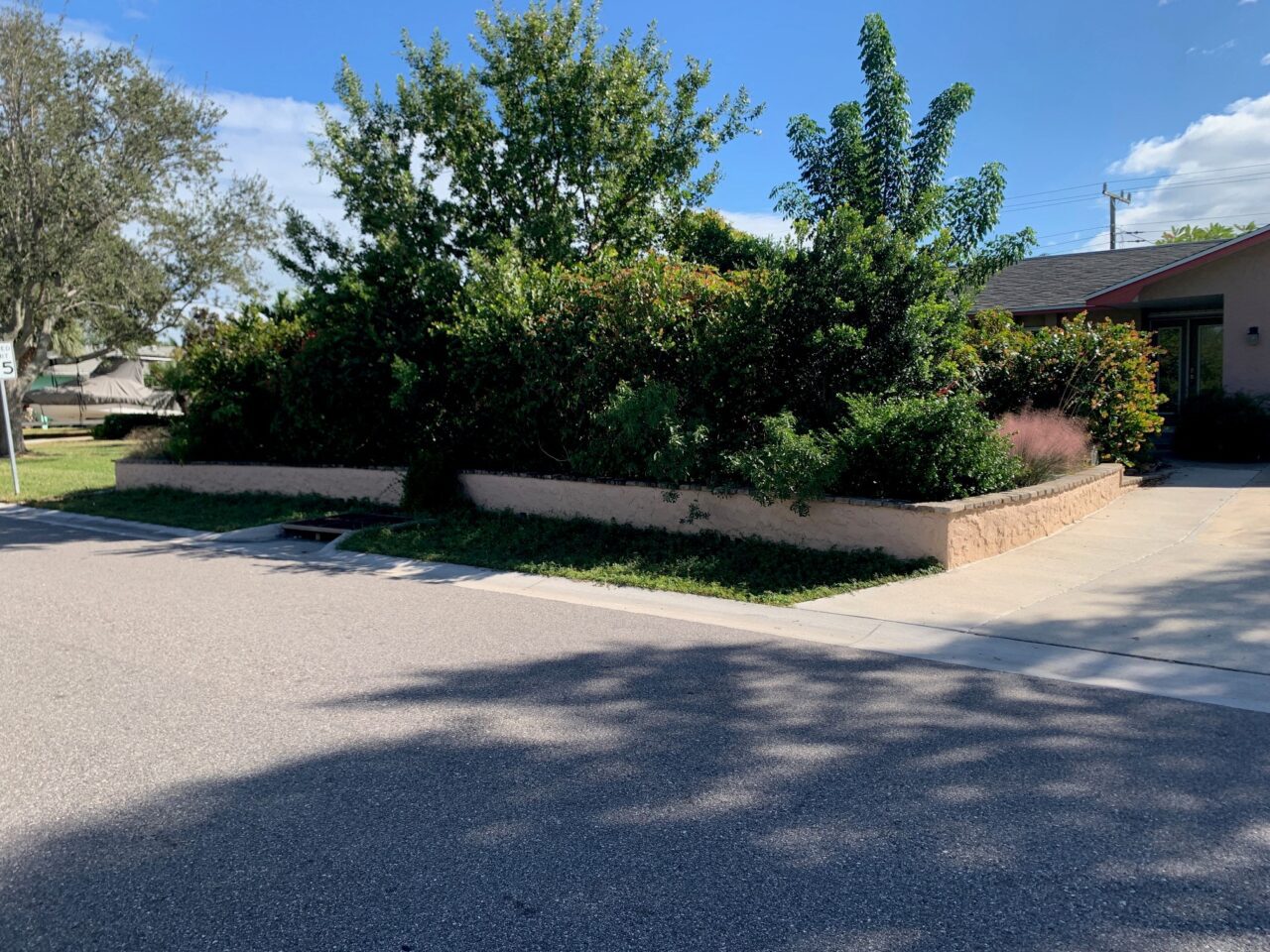 House with a walled-off garden that has all different sizes of plants.