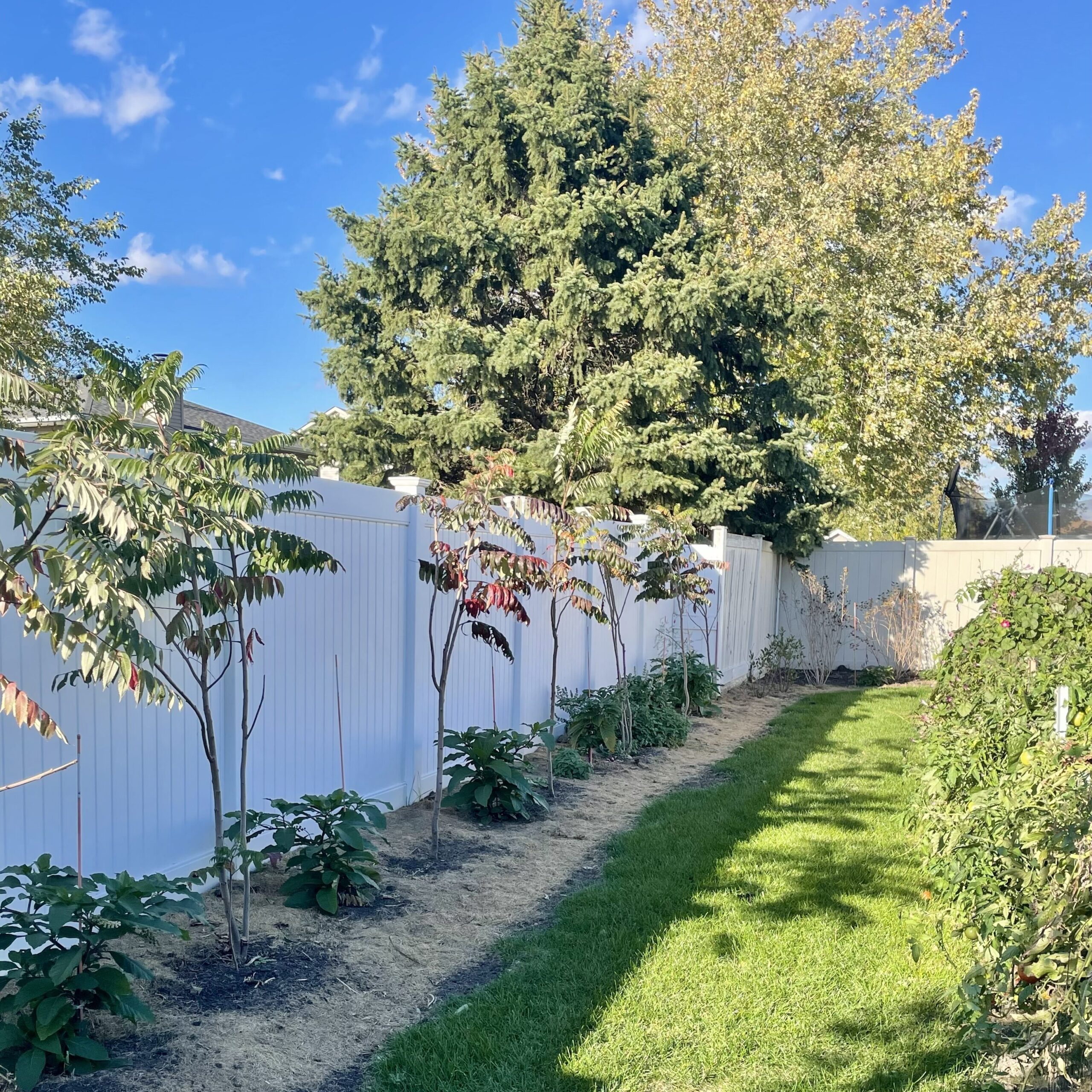 a garden with a white fence