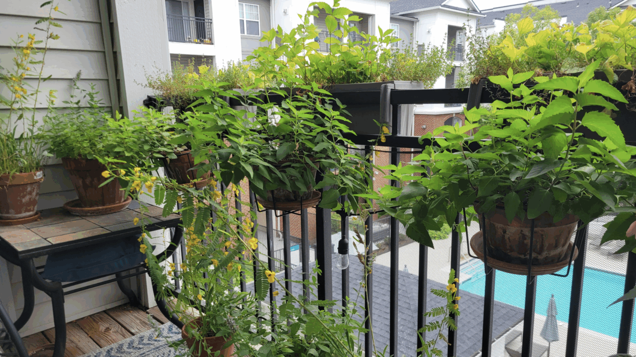 plant pots on a balcony