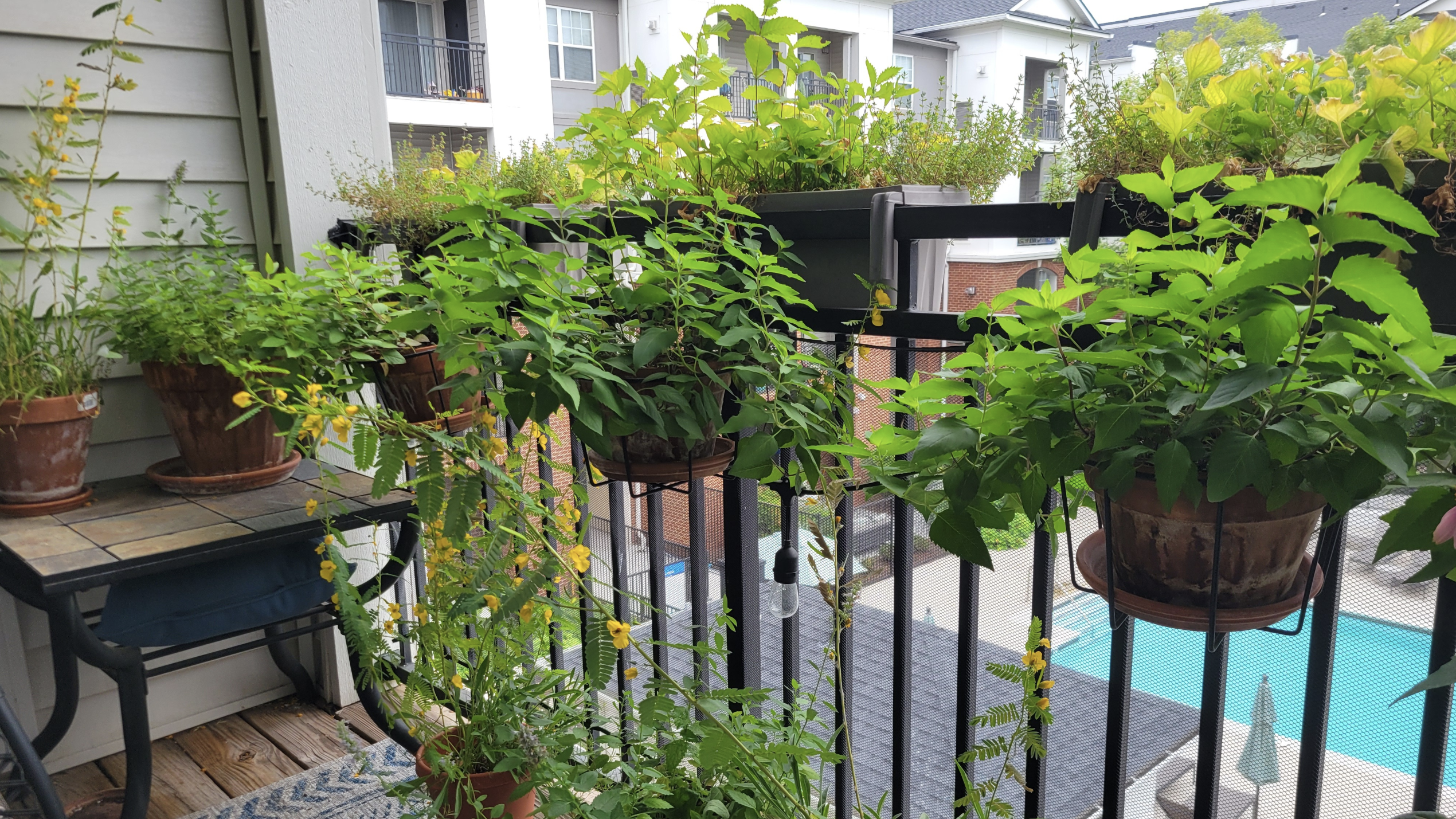 plant pots on a balcony 