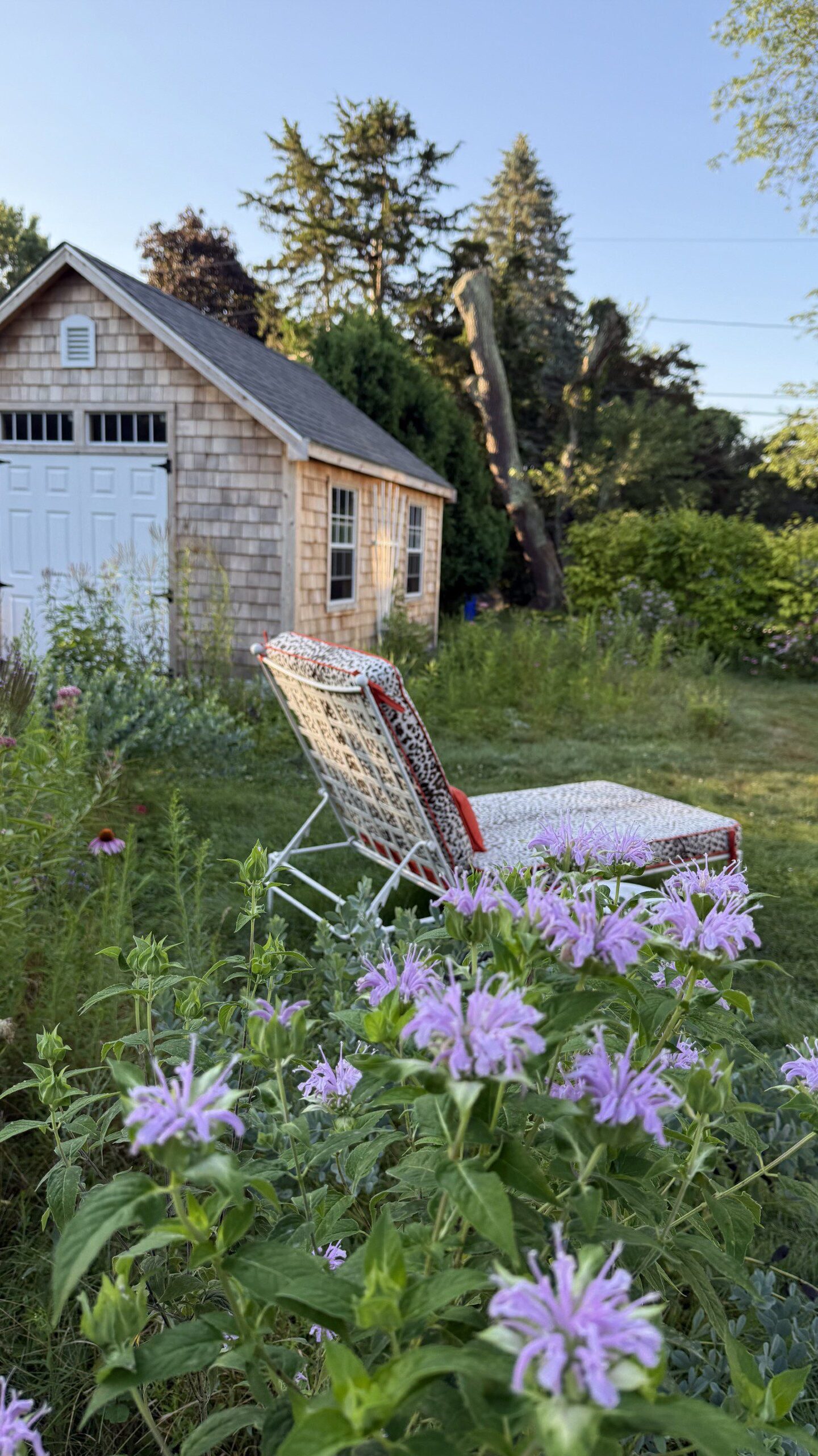 Garden with lots of purple flowers.