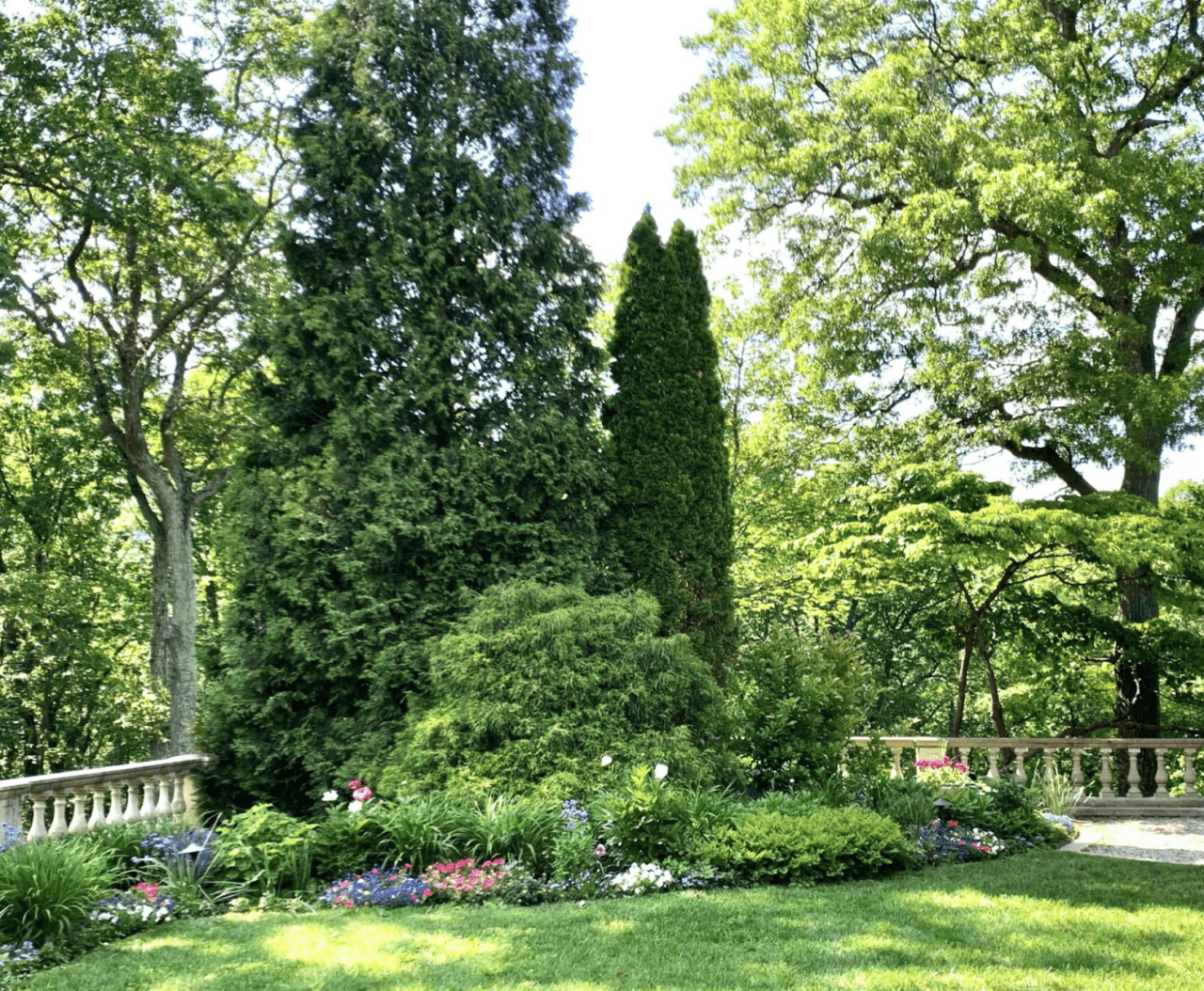 Beautiful garden with evergreens and other layers for birds to feel safe.