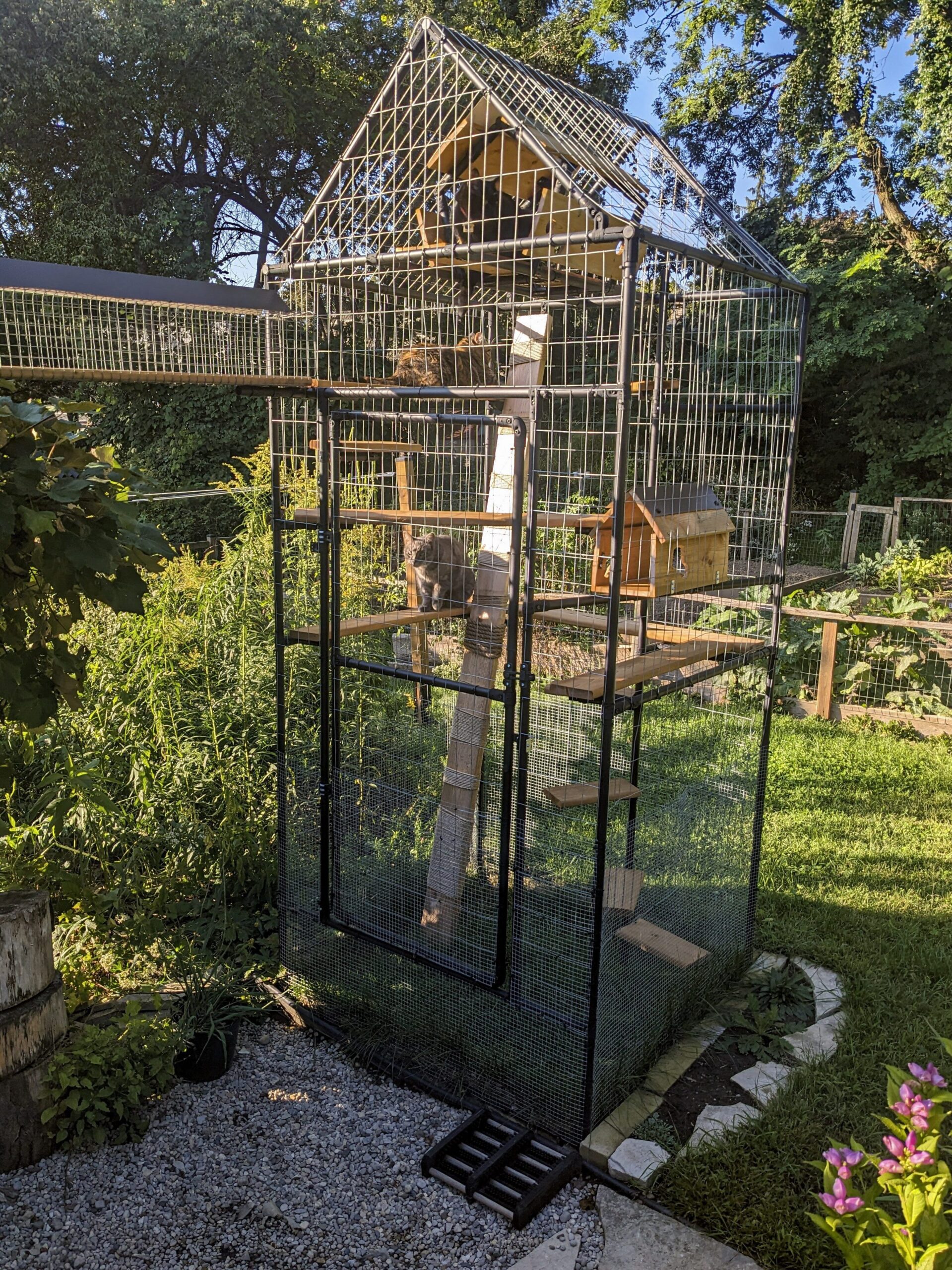 Nice example of a catio.