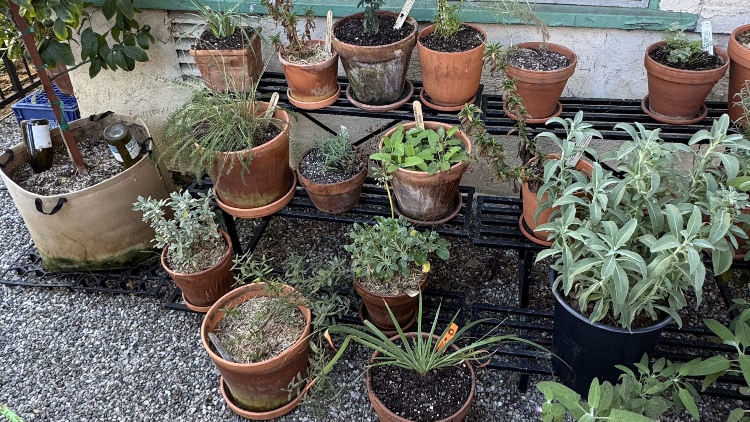 Pots in front of window 