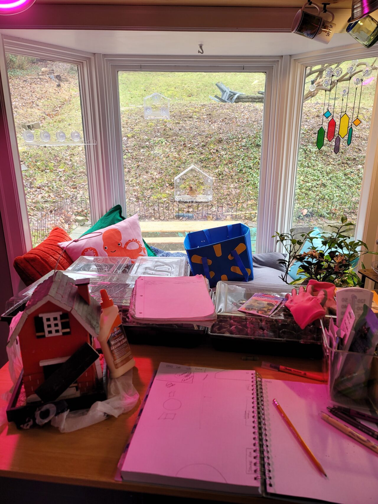 Picture window of garden planning.