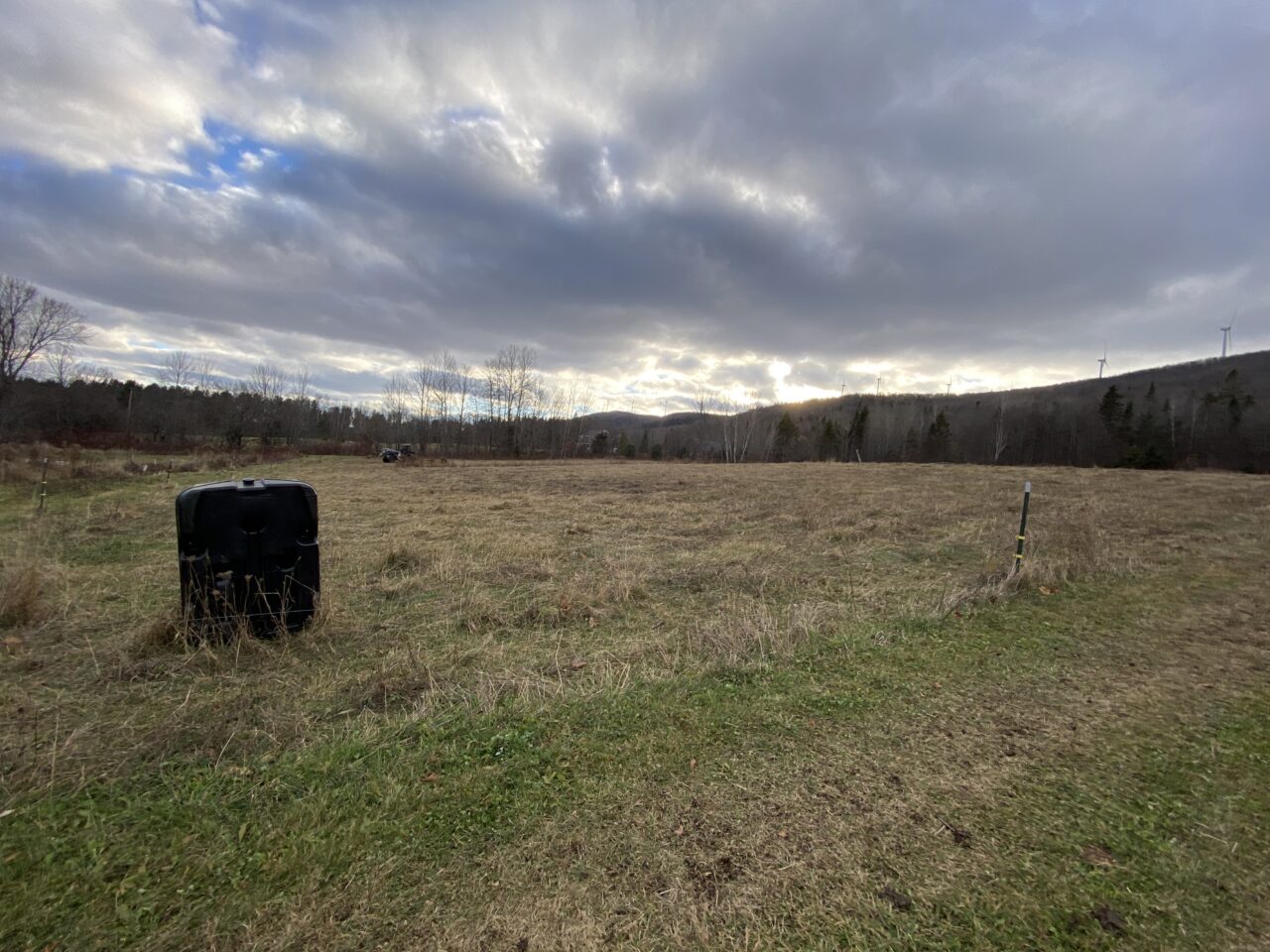 Meadow with sky.