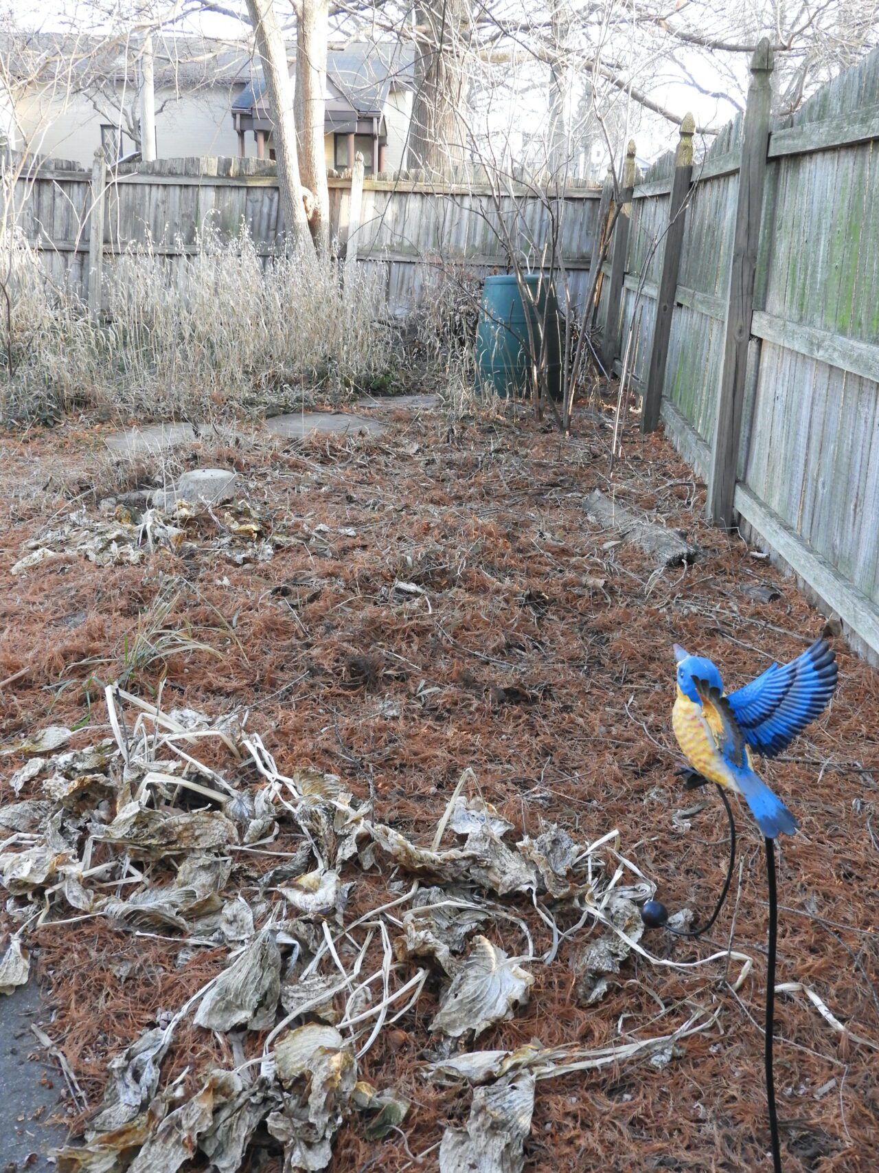 Open space where plants will be addd.