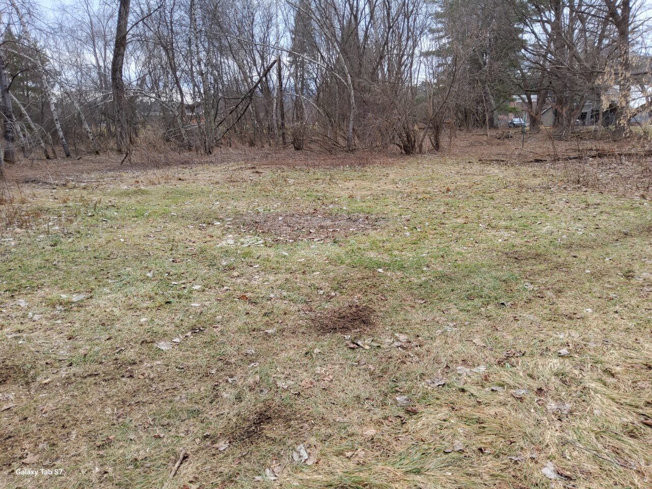 Open space where plants will be addd.