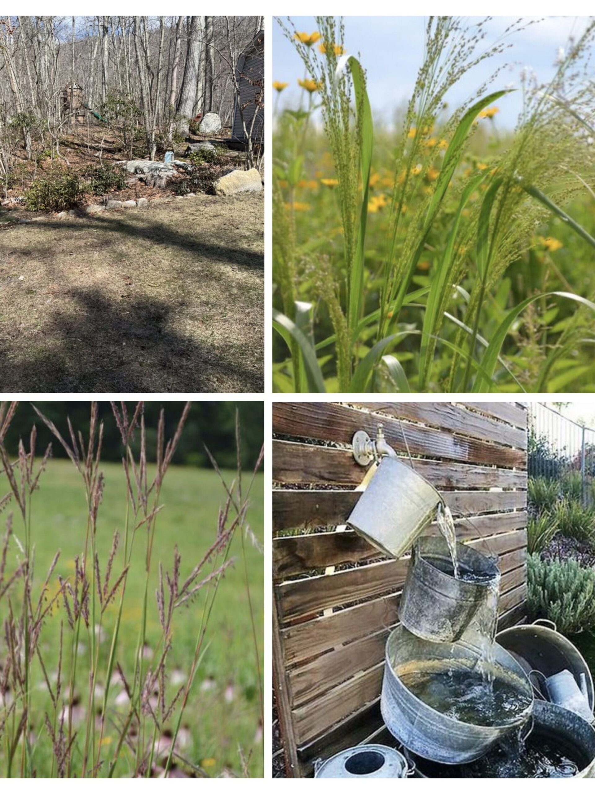 Photo collage of gardens.