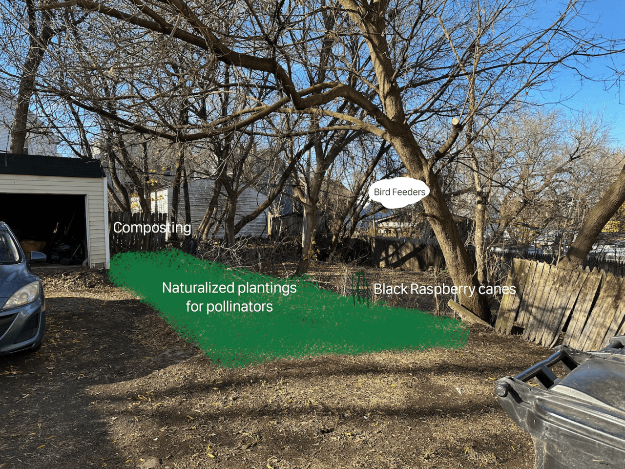 Garden space with new additions drawn ontop.