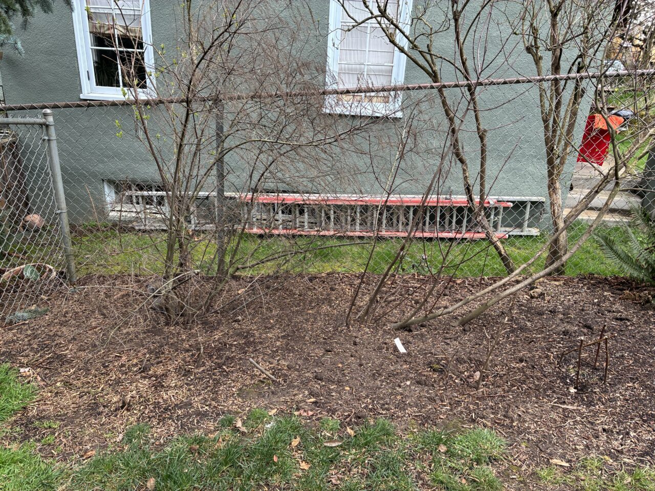 Open space where plants will be addd.