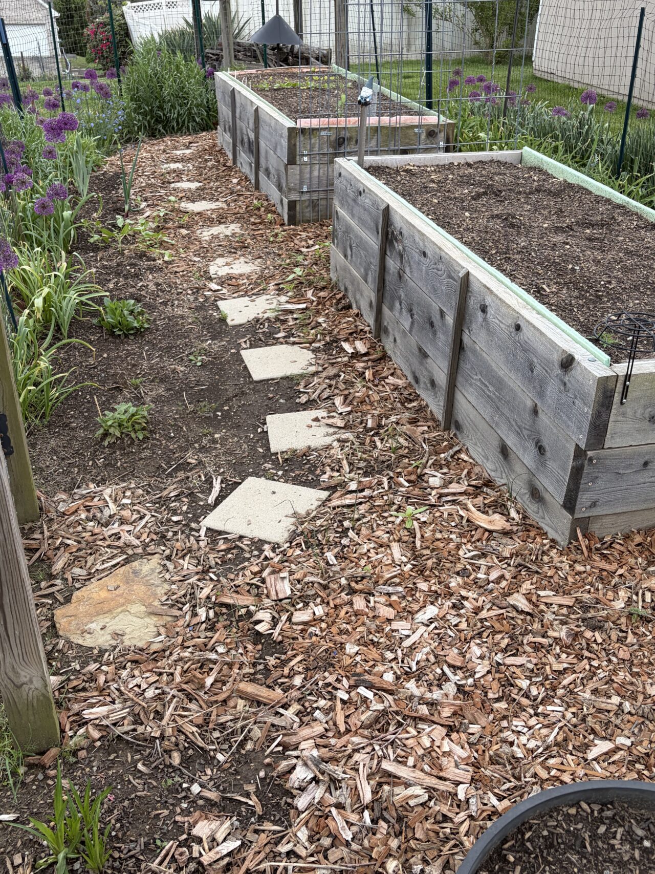 raised bed garden
