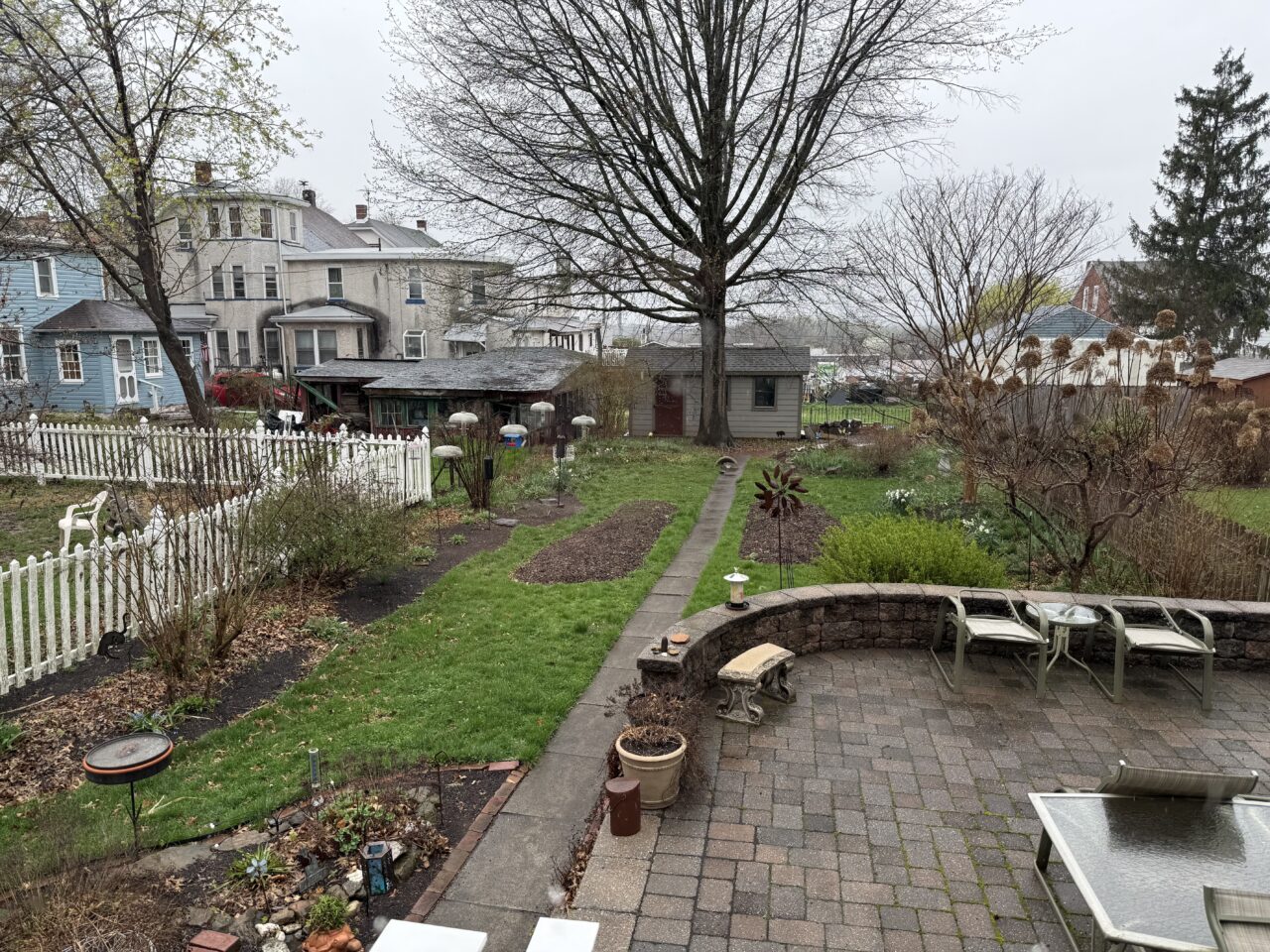 Garden where nonnatives are being replaced with all natives.