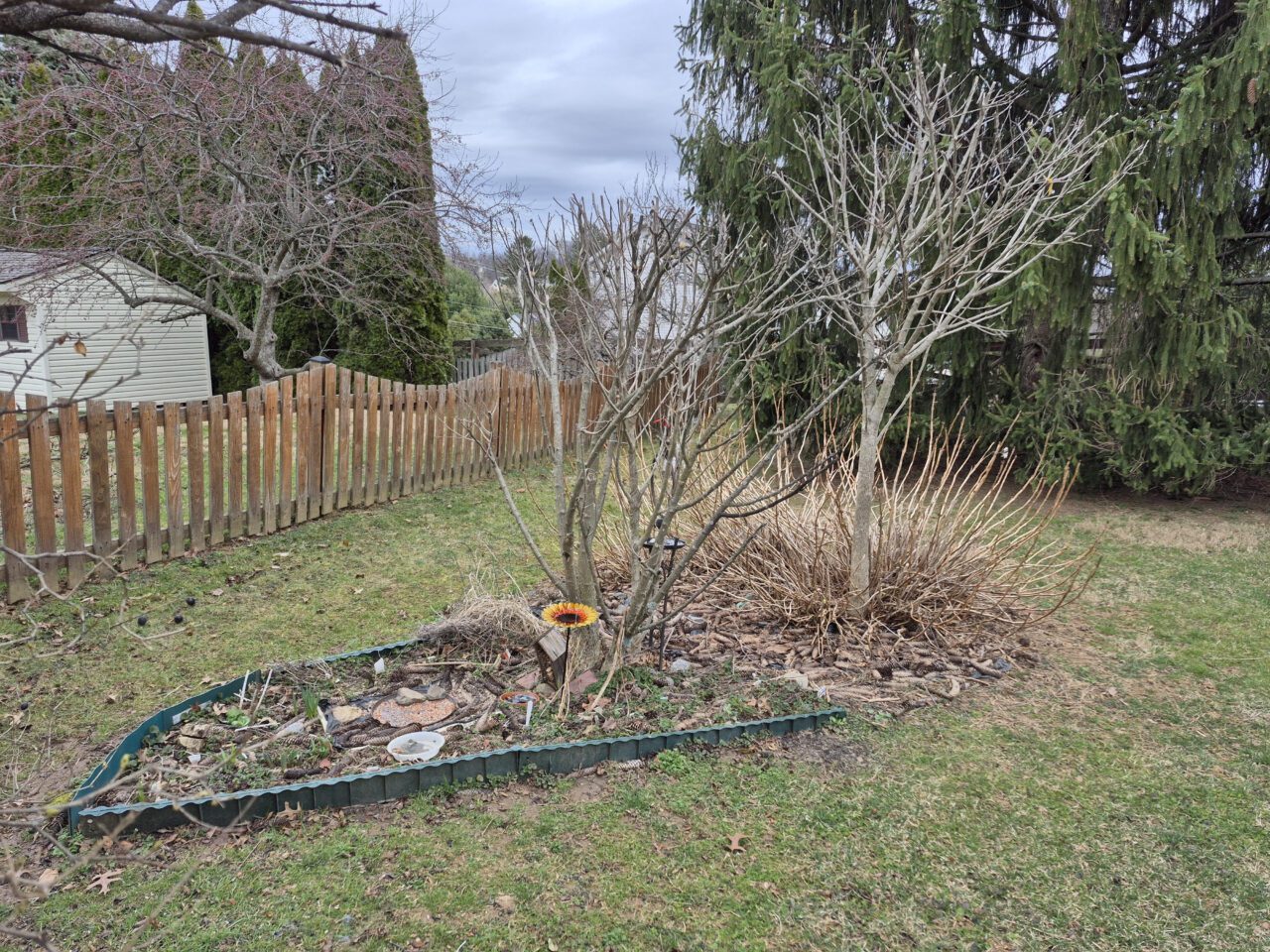 Open space where plants will be addd.