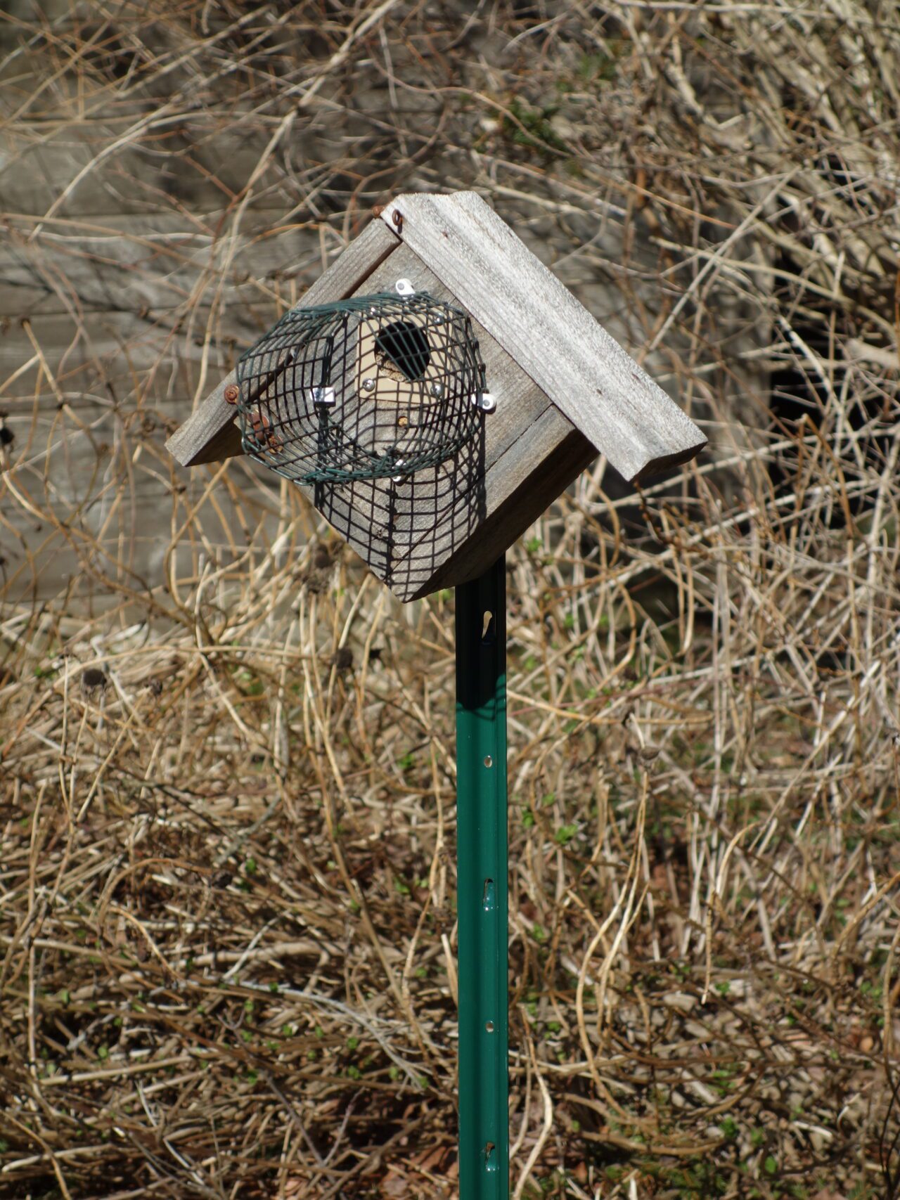 nest box with cage at entrance.