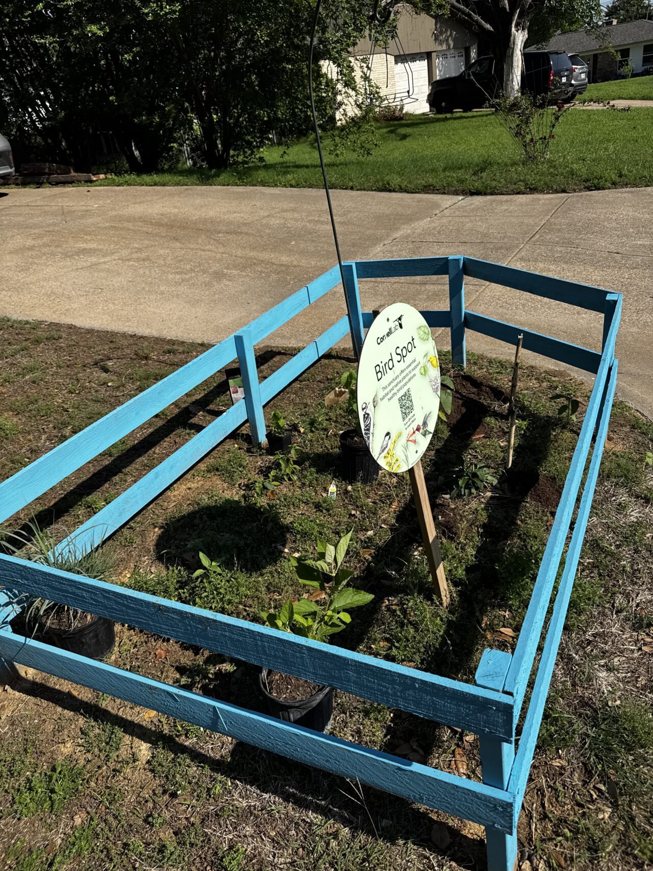 blue-fenced garden
