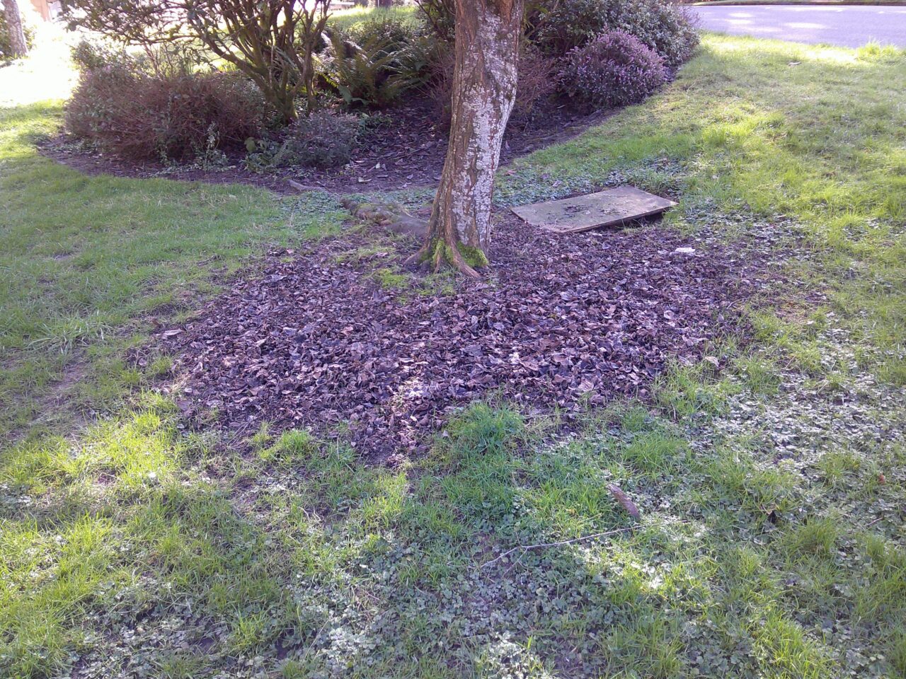 Open space where plants will be addd.