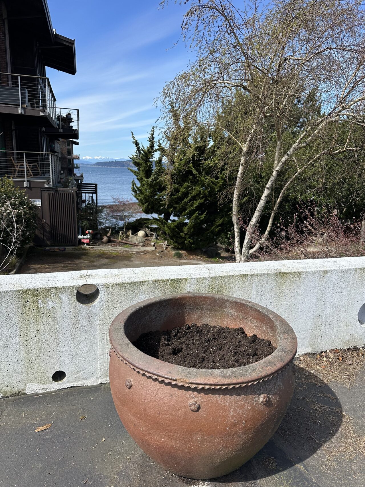 empty pot