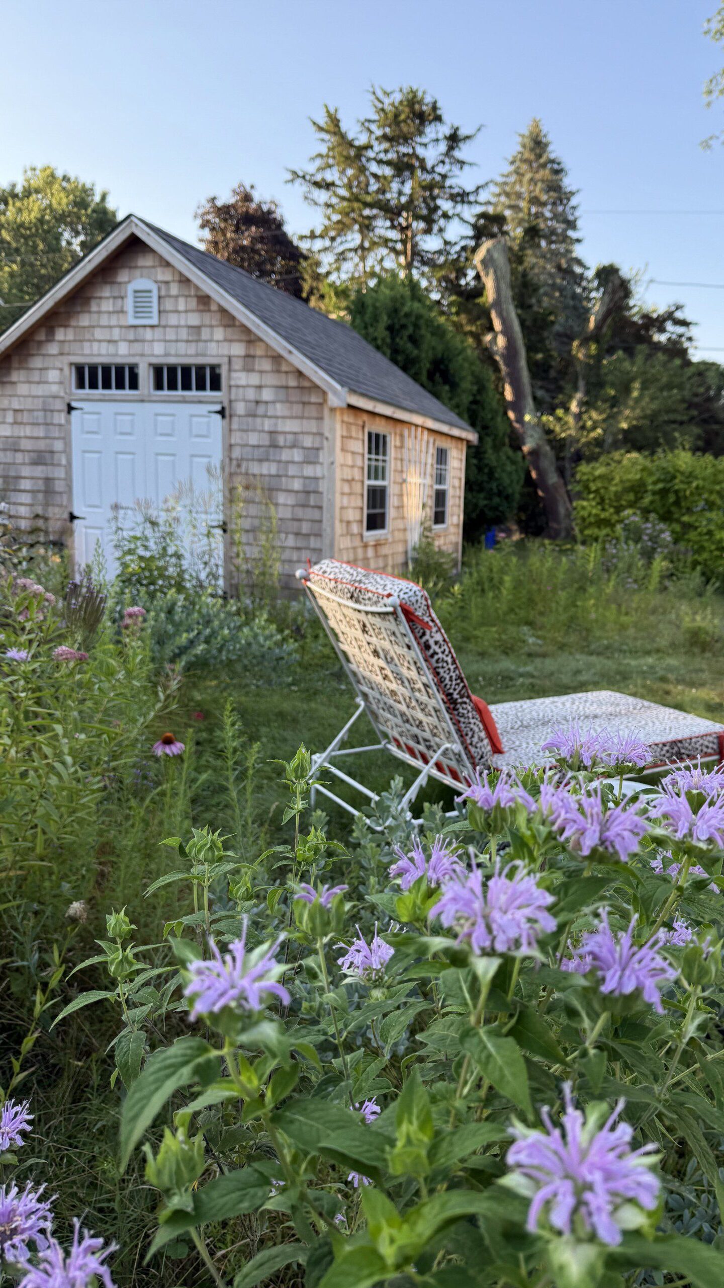 Garden picture with recliner and purple flowers.