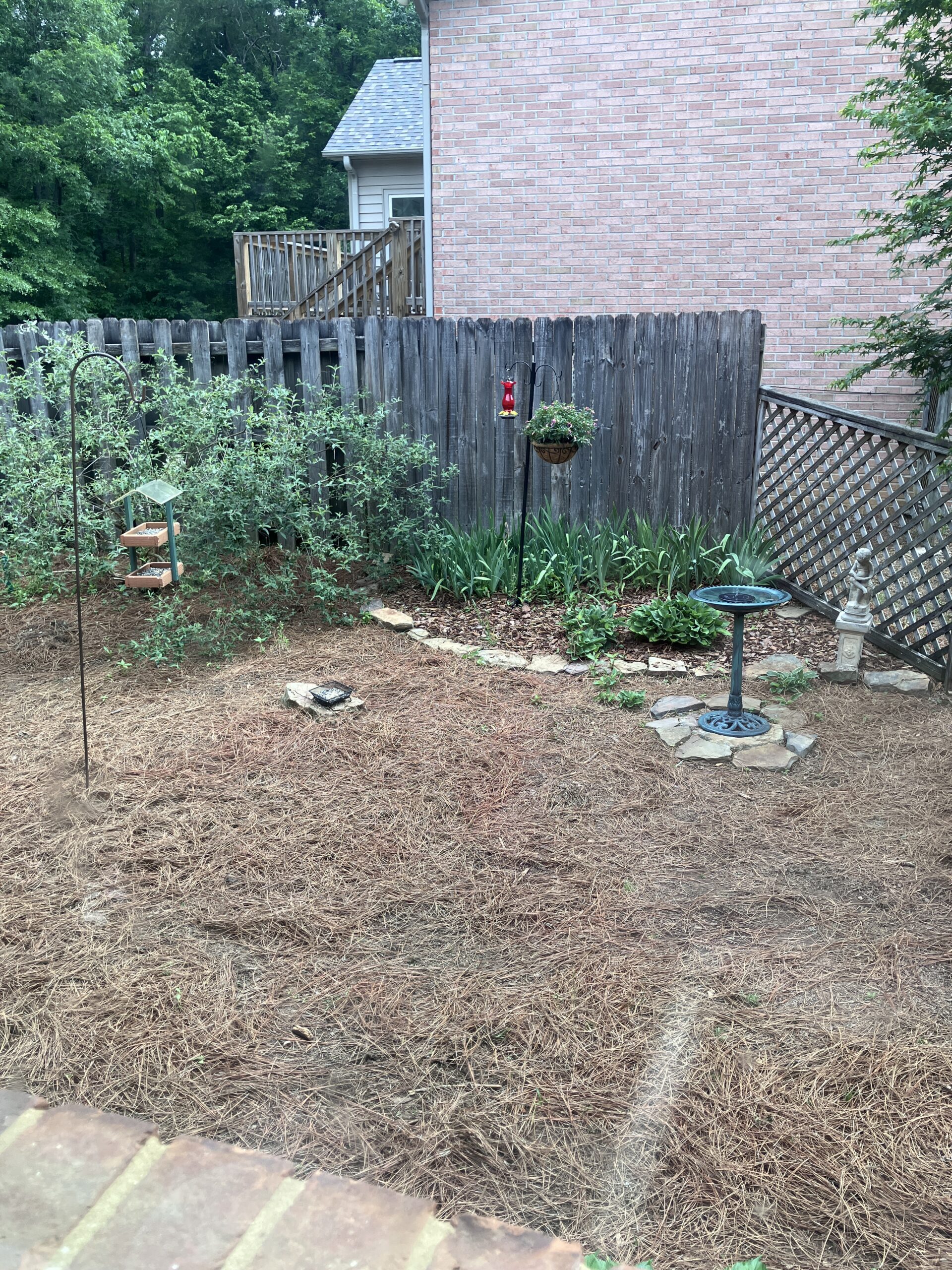 feeding bird area