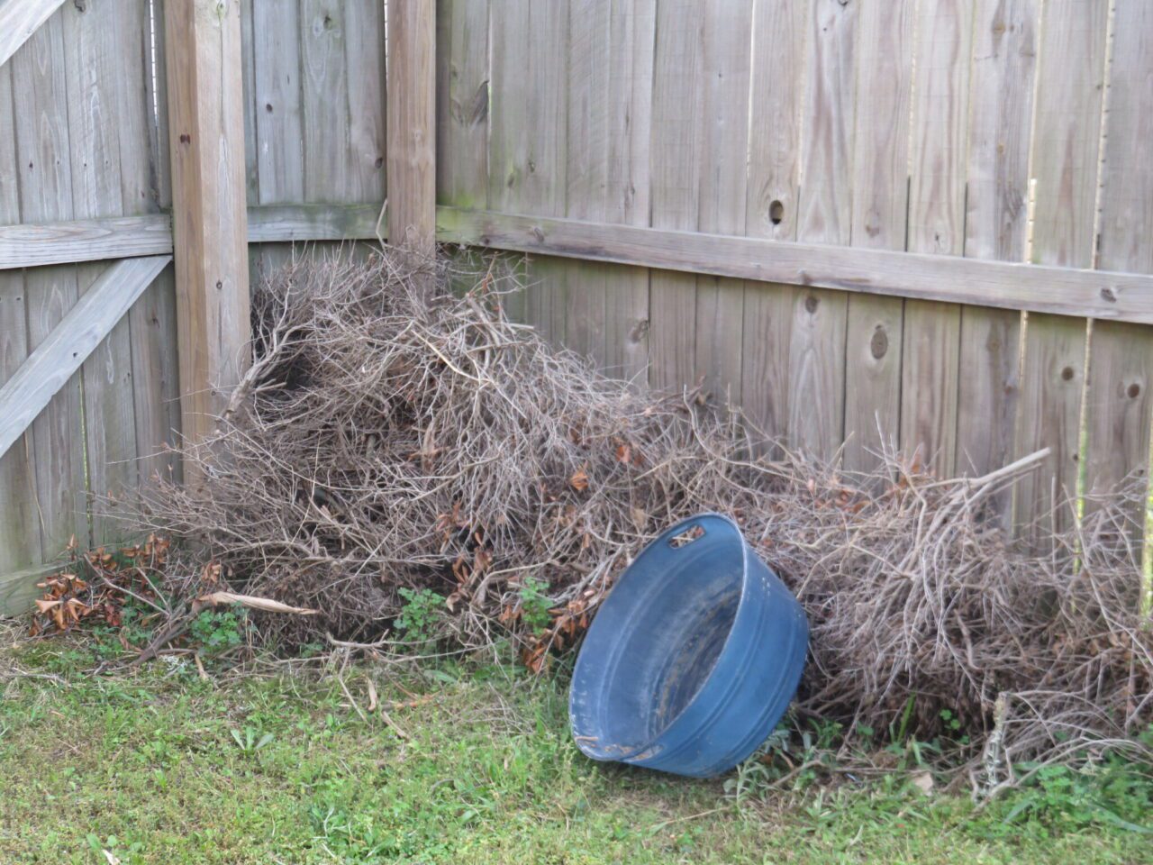 brush pile
