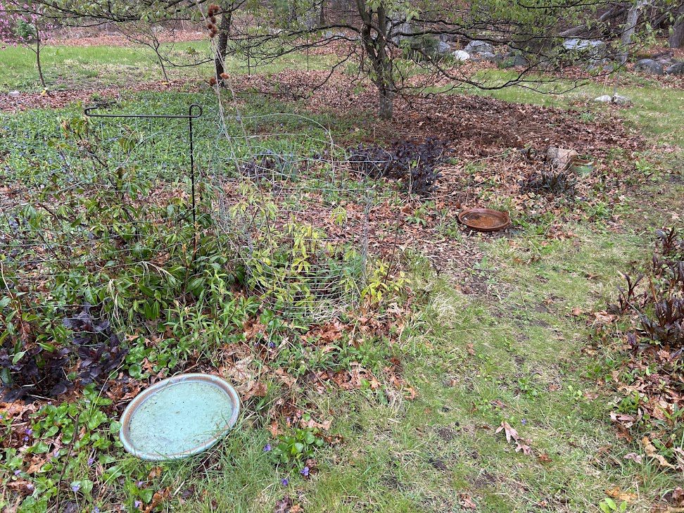 ground bird bath