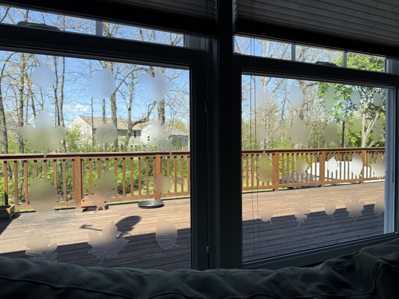 decals on windows