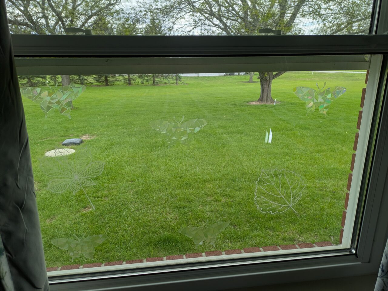 window decals