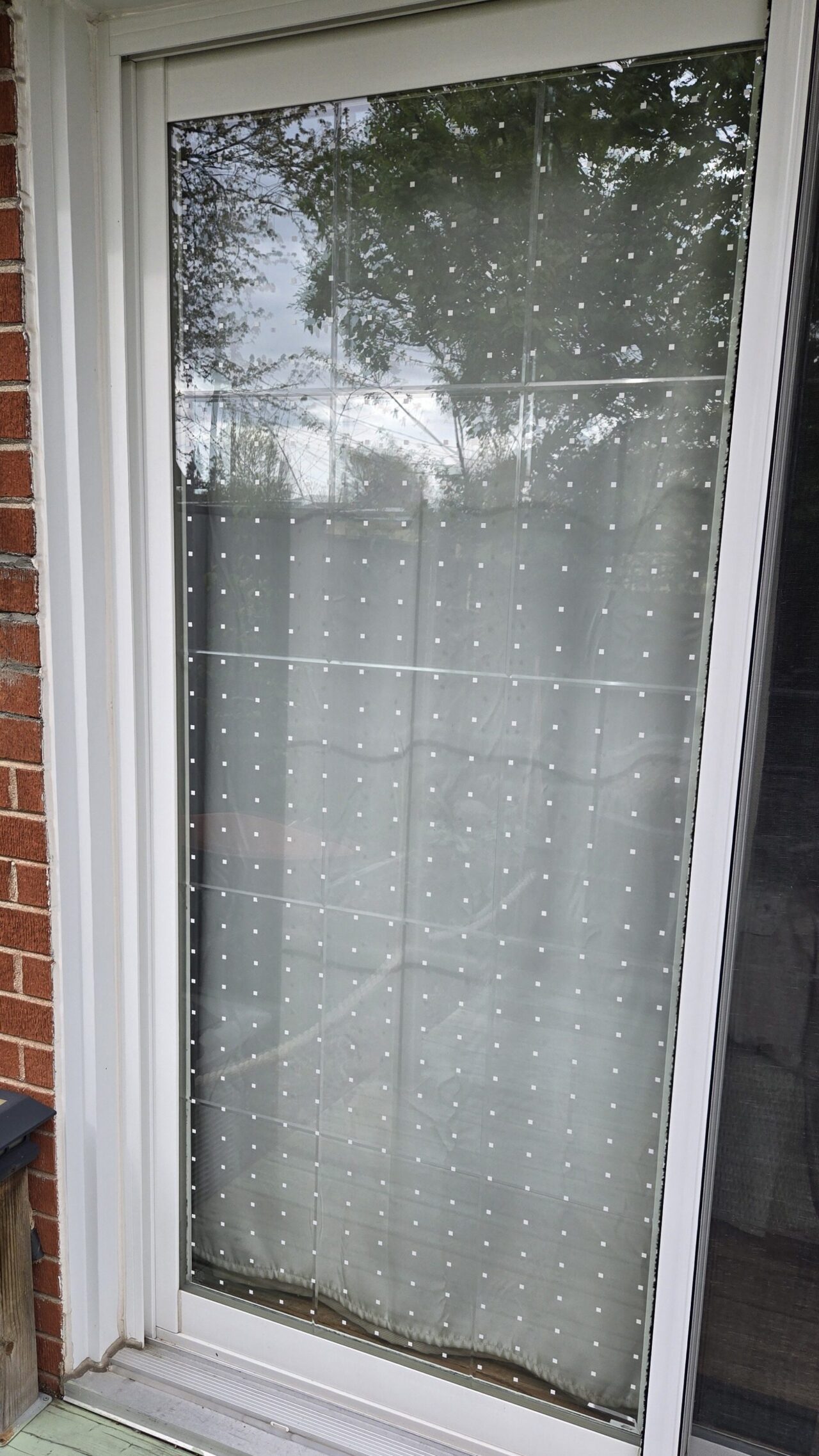 windows treated with dots