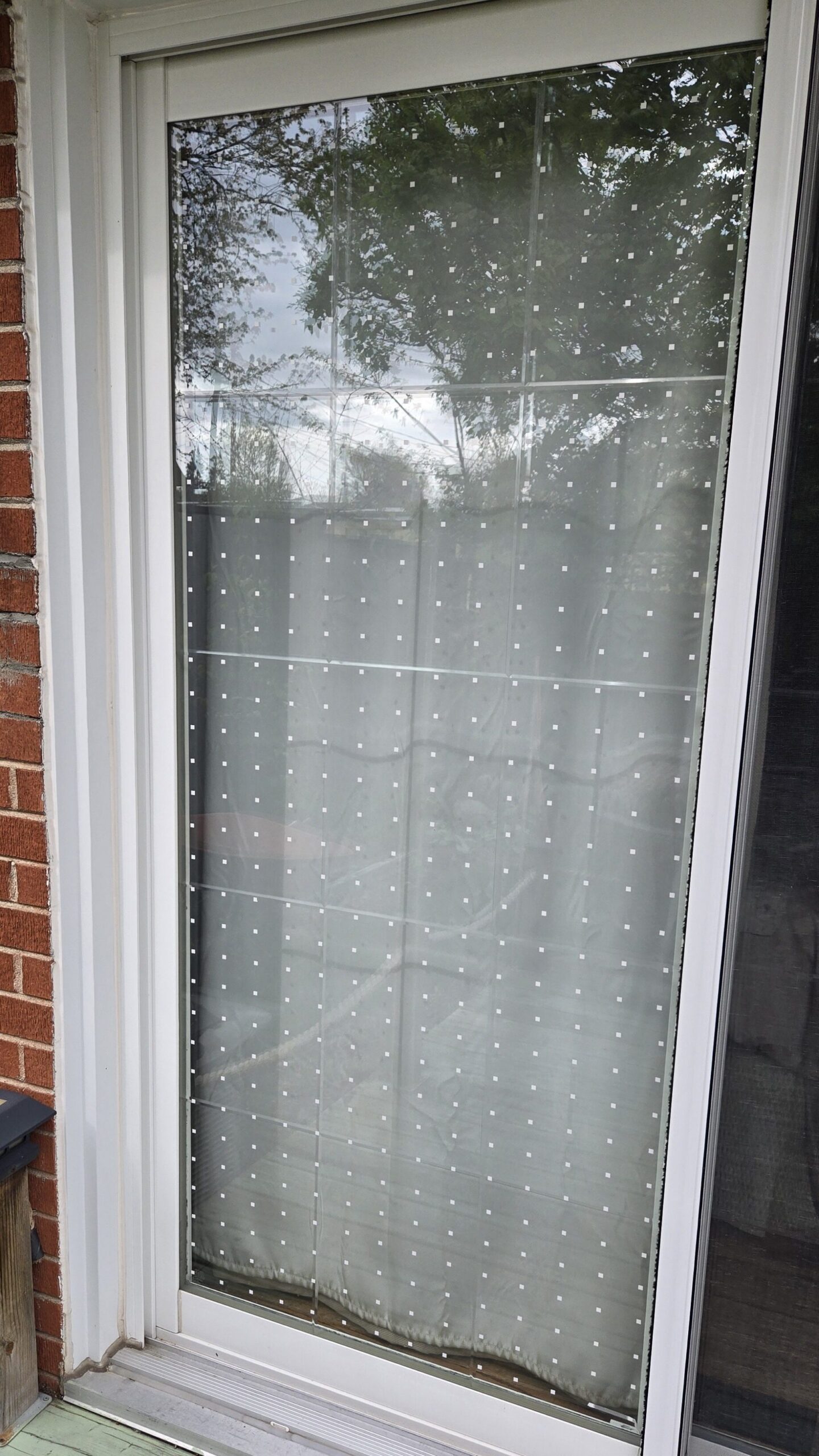 dots on window