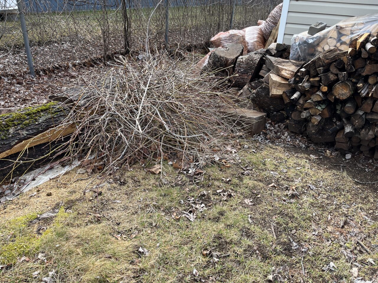 brushpile