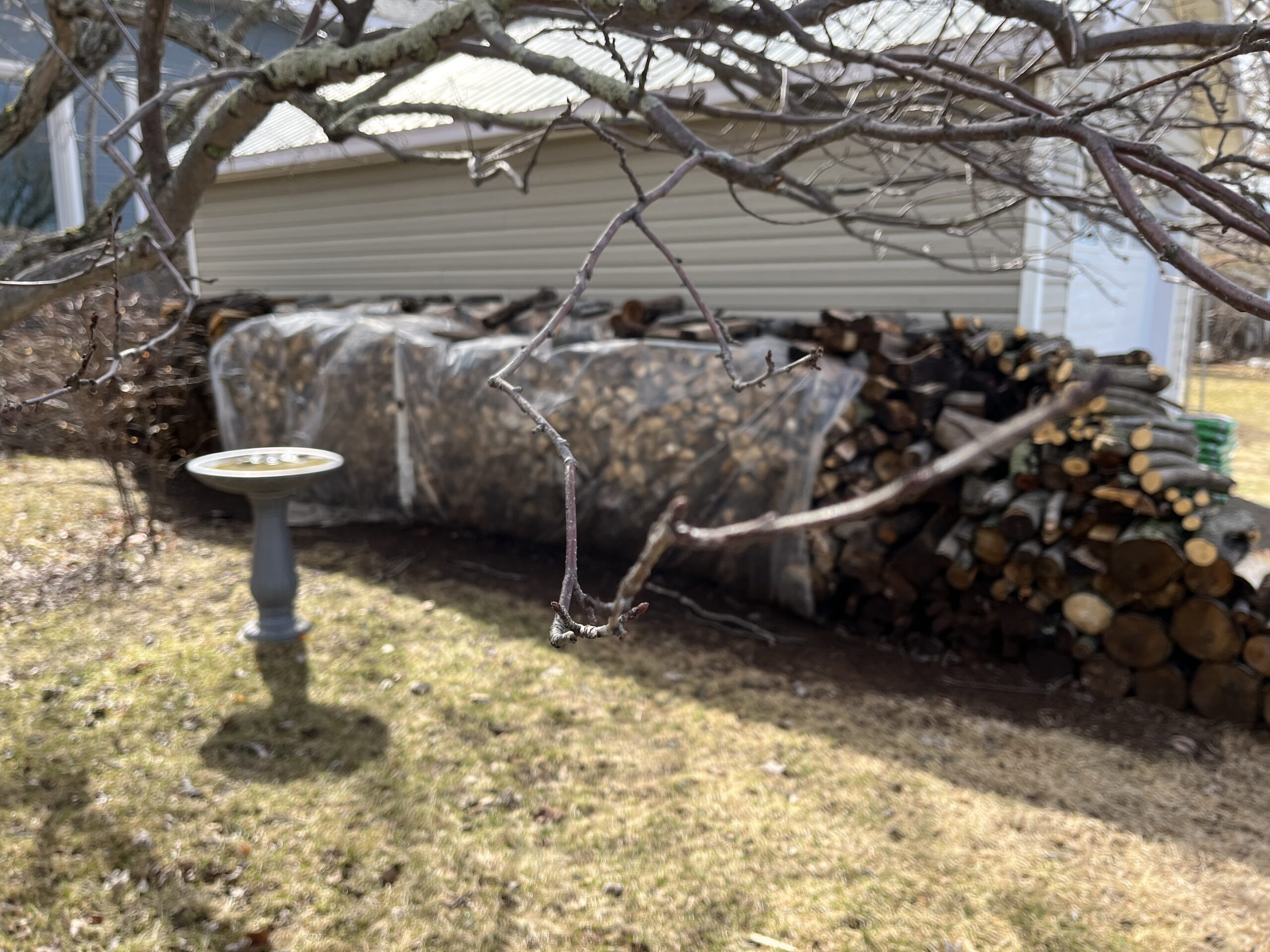 stacked wood and bird bath