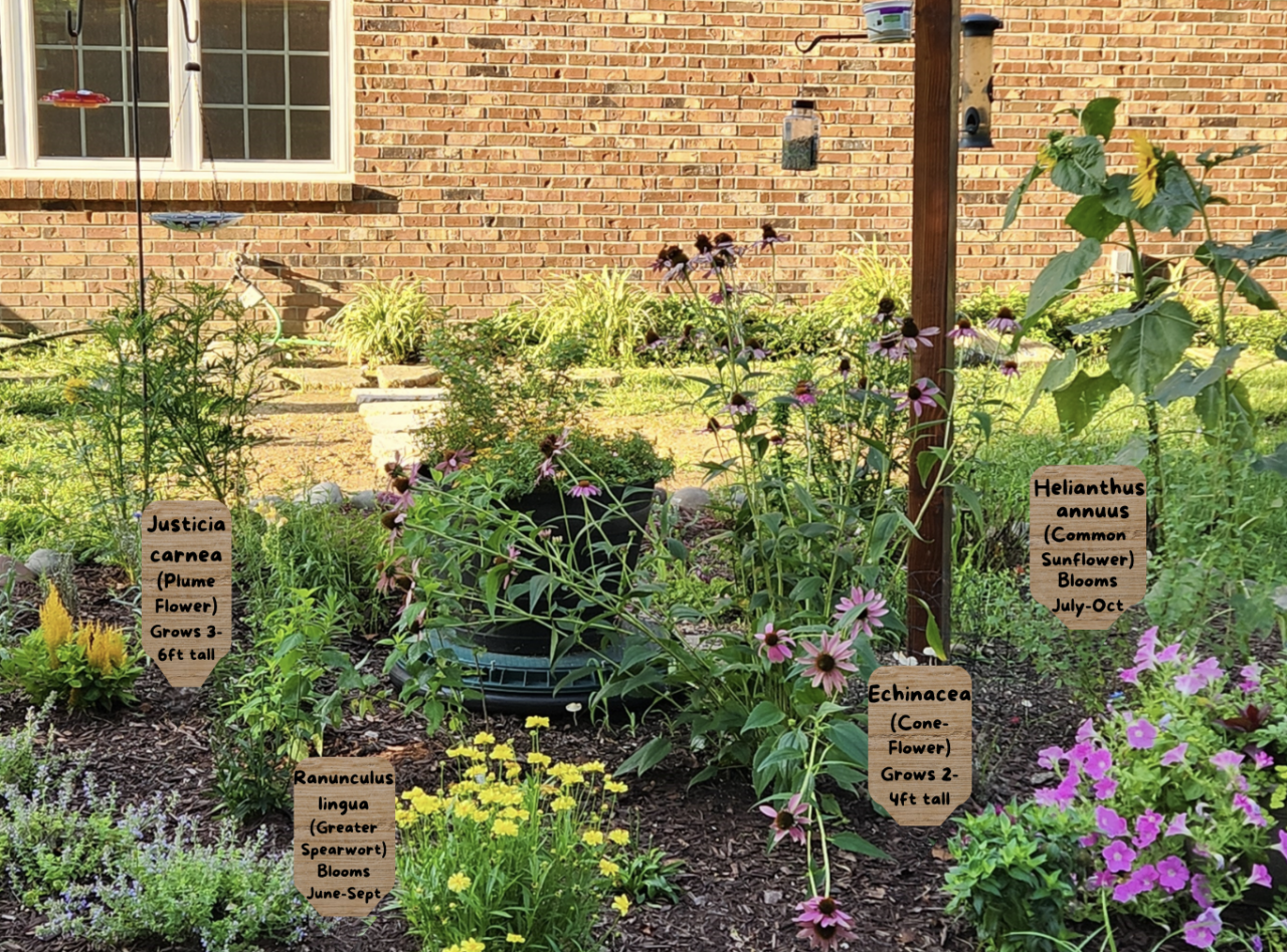 A flourishing garden with colorful plants and some have wooden plant labels that contain the scientific name, common name, bloom time, and typical height.
