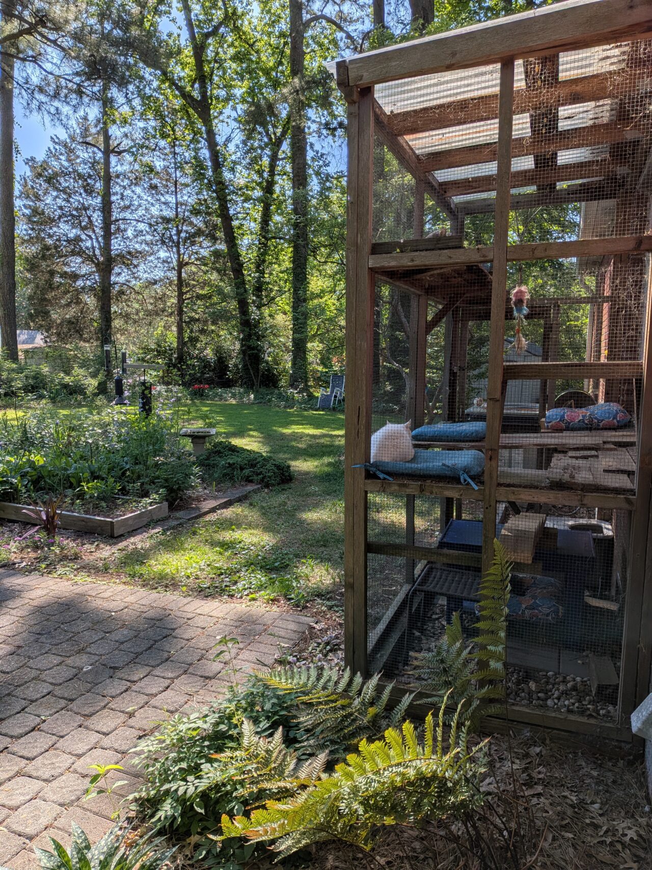 catio