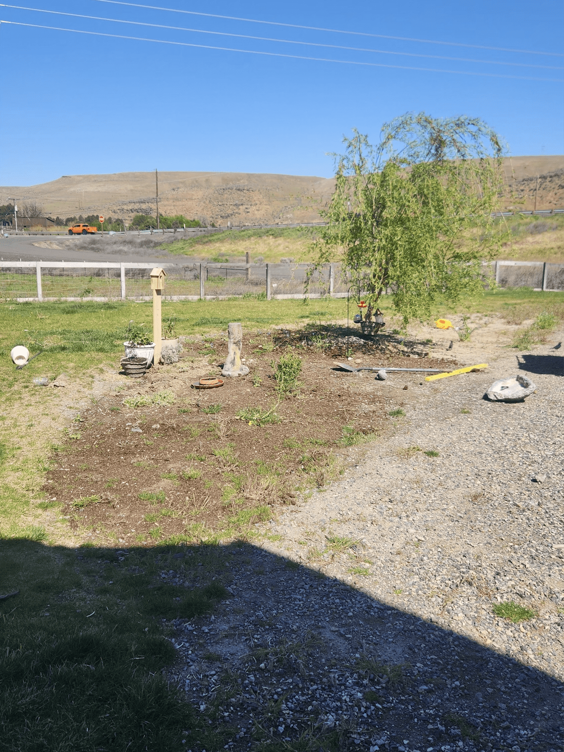 new garden